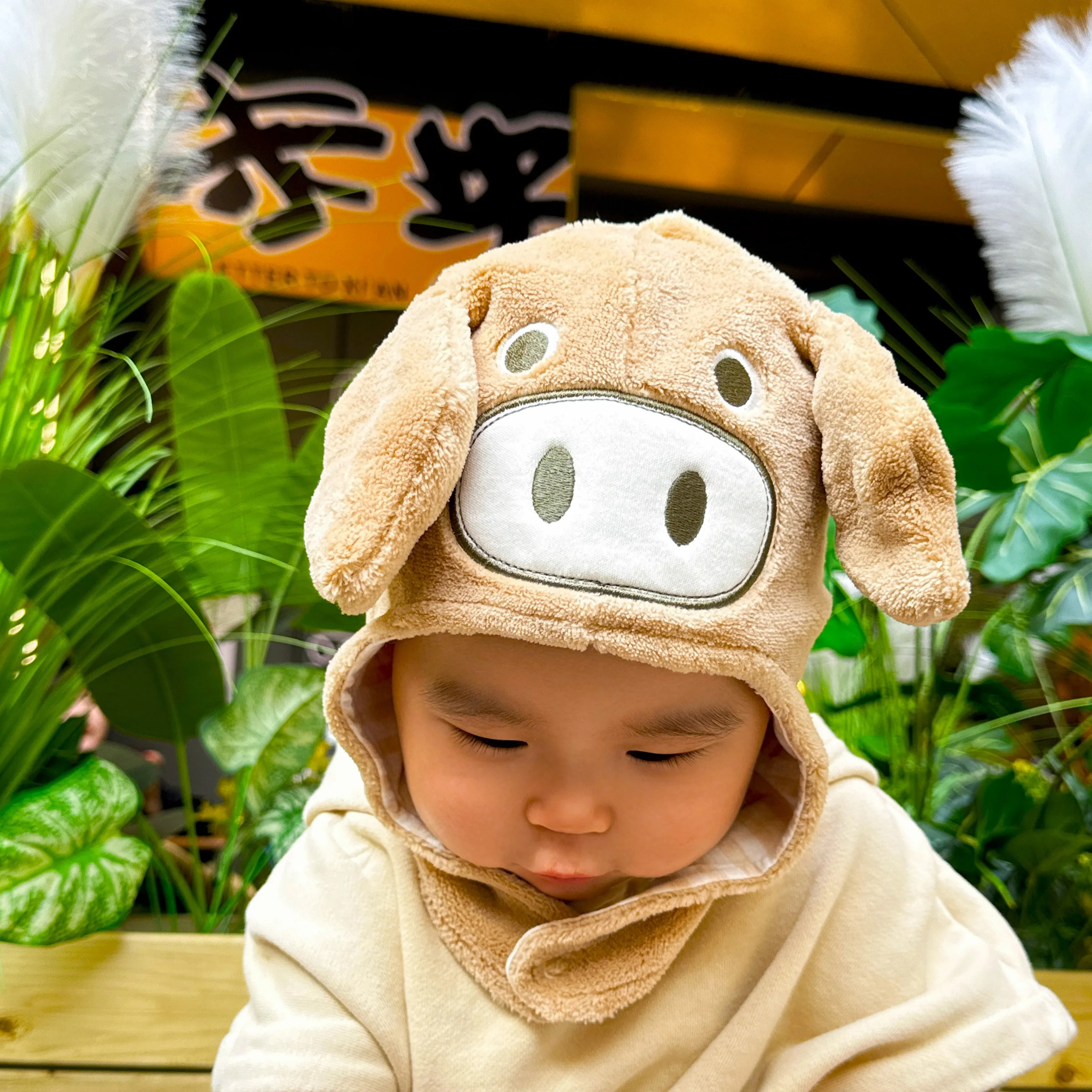 Soft Organic Cotton Baby Winter Hat - Cute Piggy Design
